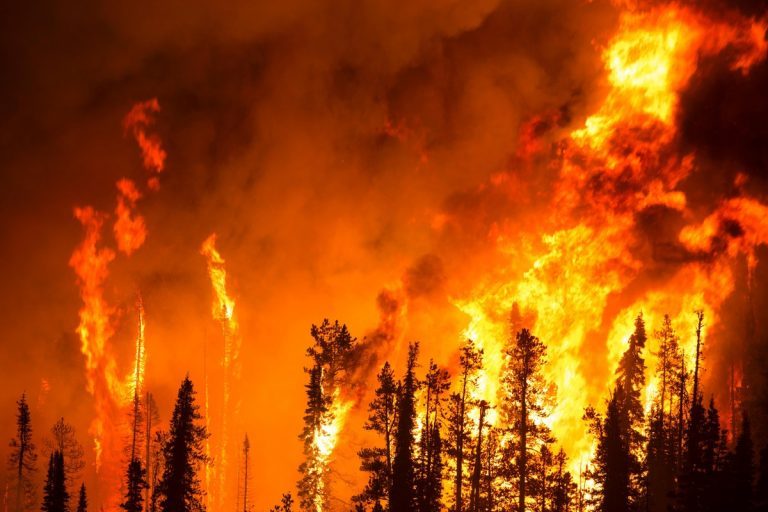 Avoided risks of global warming
