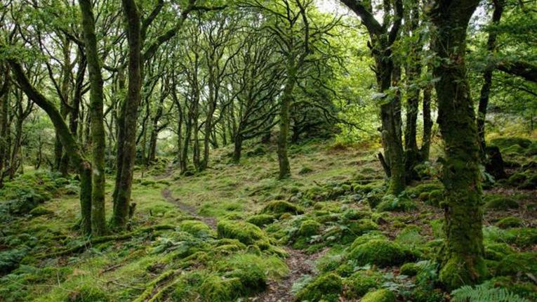 Climate change, Inequality, and Conservation seminar