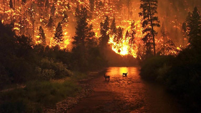 ScienceBrief Review concludes strong scientific evidence that climate change is increasing risk of wildfires