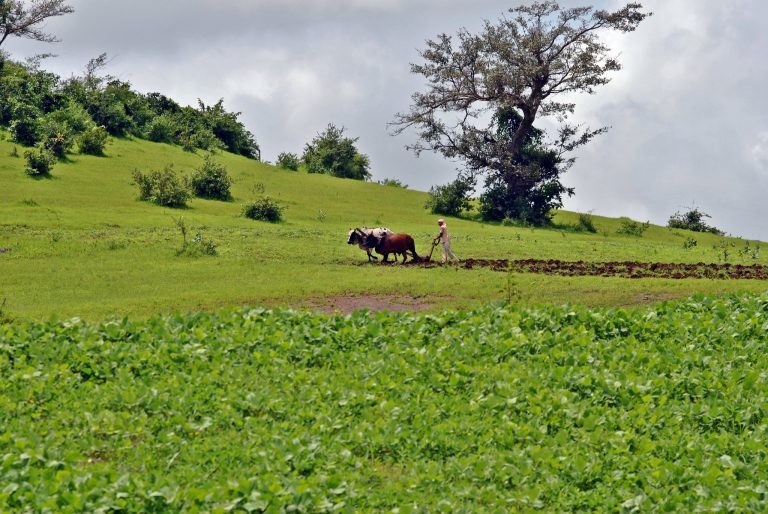 Climate change, land use change and agriculture
