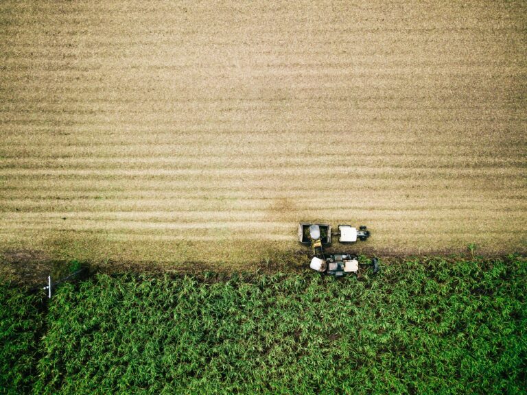 Aerial view of a field being harvested by two agricultural machines, displaying a clear division between the unharvested green crops and the harvested section, highlighting an essential process in sustainable farming practices that contribute to carbon removal.