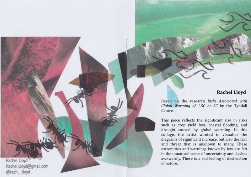 screen shot 2019 07 19 at 2.22.30 pm