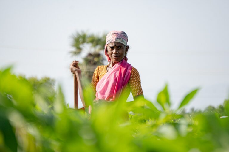 A woman in a red headscarf and yellow shirt stands in a green field in rural Karnataka, holding a farming tool, embodying the essence of women’s work participation.