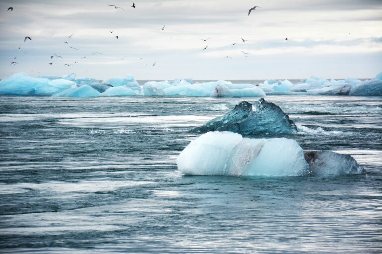 A floating iceberg in a vast, icy body of water with several other icebergs and flying birds in the background under an overcast sky highlights the impacts of Arctic warming.