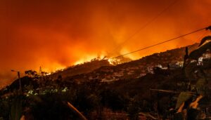 A wildfire burns on a hillside at night, with the orange flames illuminating the dark sky. Houses and vegetation are visible in the foreground as the fire spreads across the landscape, a scene reflective of trends noted in the 2023-2024 State of Wildfires Report.