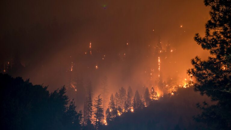 A forest fire rages at night, with trees silhouetted against the flames and smoke, highlighting the global increase in CO2 emissions.