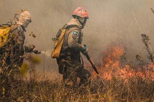 Two firefighters battling wildfire in Mato Grosso, Brazil