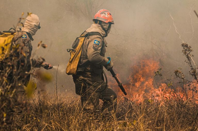 Two firefighters battling wildfire in Mato Grosso, Brazil