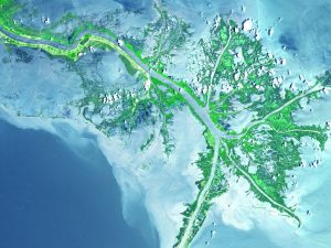 Aerial photography of the Mississippi River Delta. Photo by USGS via Unsplash