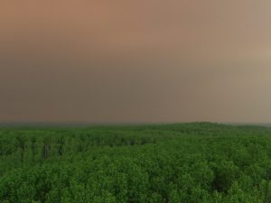 Smoke on the horizon, from a wildfire in a boreal forest in Alberta, Canada.