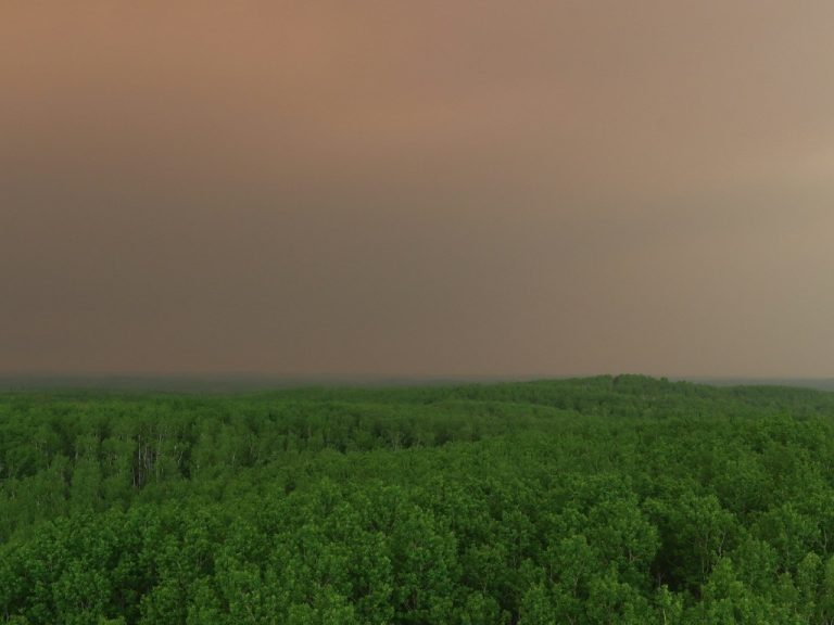 Smoke on the horizon, from a wildfire in a boreal forest in Alberta, Canada.