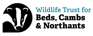 BCNWT