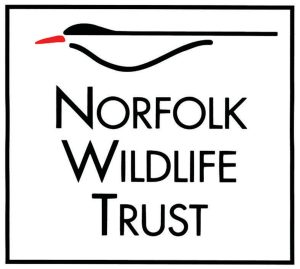 NWT