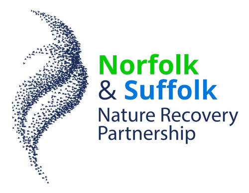 Norfolk & Suffolk Nature Recovery Partnership
